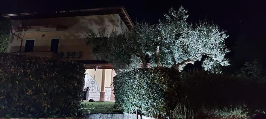 B&B Stazione La Reggia Caserta Zewnętrze zdjęcie